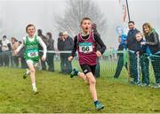 8 February 2015; Connor Meaney, from Fergus AC, Co. Clare, on his way to winning the boys under-11 1000m from second place Luke Walker Browning from Newbridge AC, Co. Kildare, at the GloHealth Intermediate, Master and Juvenile B Cross Country Championships, Palace Grounds, Tuam, Co. Galway. Picture credit: Matt Browne / SPORTSFILE
