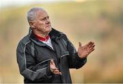 8 February 2015; Cork manager Eamonn Ryan. TESCO HomeGrown Ladies National Football League, Division 1, Round 2, Cork v Kerry, Cloughduv, Cork. Photo by Sportsfile