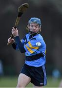 5 February 2015; Oisin O Ruairc, UCD. Independent.ie Fitzgibbon Cup, Group A, Round 2, UCD v DCU. University College Dublin, Dublin. Picture credit: Pat Murphy / SPORTSFILE