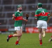 18 November 2007; Noel McGrath, Loughmore-Castleiney, Tipperary, celebrates a point with Ciaran McGrath, 8, during the second half. AIB Munster Senior Hurling Club Championship Semi-Final, Adare, Limerick, v Loughmore-Castleiney, Tipperary, Gaelic Grounds, Limerick. Picture credit; Stephen McCarthy / SPORTSFILE