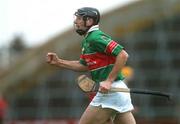 18 November 2007; Micheal Webster, Loughmore-Castleiney, Tipperary, celebrates a second half point. AIB Munster Senior Hurling Club Championship Semi-Final, Adare, Limerick, v Loughmore-Castleiney, Tipperary, Gaelic Grounds, Limerick. Picture credit; Stephen McCarthy / SPORTSFILE