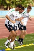 20 November 2007; Northern Ireland players, from left, Aaron Hughes, Steve Robinson, and Steve Davis during squad training. Municipal Stadium, Maspalomas, Gran Canaria, Spain. Picture credit: Oliver McVeigh / SPORTSFILE
