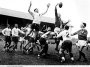 23 January 1965; Ireland's Willie John McBride wins possession for his side in the lineout against France during their opening match of the Five Nations in front an attendance of 55,000. Five Nations Championship, Ireland v France, Lansdowne Road, Dublin. Picture credit; Connolly Collection / SPORTSFILE