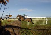 29 November 2007; Albanov, with Barry Geraghty up, jumps the last on the way to winning the Irish Stallion Farms European Breeders Fund Beginners Chase. Thurles Racecourse, Thurles, Co. Tipperary. Picture credit: Matt Browne / SPORTSFILE *** Local Caption ***