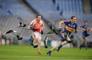 14 February 2015; A flock of pigeons take flight during the first half of the game. AIB GAA Football All-Ireland Junior Club Championship Final, John Mitchel's v Brosna. Croke Park, Dublin. Picture credit: Oliver McVeigh / SPORTSFILE