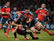 14 February 2015; Josh Turnbull, Cardiff Blues, is tackled by Rory Scannell, left, and Billy Holland, Munster. Guinness PRO12 Round 14, Munster v Cardiff Blues. Irish Independent Park, Cork. Picture credit: Matt Browne / SPORTSFILE