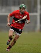 10 February 2015; Alan Cadogan, UCC. Independent.ie Fitzgibbon Cup, Group B, Round 3, UCC v UL, Mardyke, Cork. Picture credit: Barry Cregg / SPORTSFILE