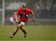 10 February 2015; Alan Cadogan, UCC. Independent.ie Fitzgibbon Cup, Group B, Round 3, UCC v UL, Mardyke, Cork. Picture credit: Barry Cregg / SPORTSFILE