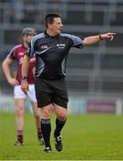 15 February 2015; Referee Brian Gavin. Allianz Hurling League, Division 1A, Round 1, Galway v Clare, Pearse Stadium, Galway. Picture credit: David Maher / SPORTSFILE
