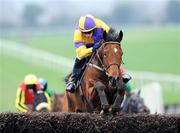 16 December 2007; Glencove Marina, with Davy Condon up, jumps the last on their way to winning the The Irish Stallion Farms European Breeders Fund Beginners Steeplechase. Navan Racecourse, Navan, Co. Meath. Picture credit; Paul Mohan / SPORTSFILE