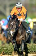 28 December 2007; Made In Taipan, with Davy Russell up, on their way to winning the O'Dwyer's Stillorgan Orchard Maiden Hurdle. Leopardstown Racecourse, Leopardstown, Dublin. Photo by Sportsfile