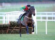 28 December 2007; Sweet Kiln, with Tom Doyle up, on their way to winning the woodiesdiy.com Christmas Hurdle. Leopardstown Racecourse, Leopardstown, Dublin. Photo by Sportsfile