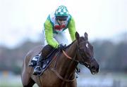 28 December 2007; Denman, with Ruby Walsh up, on their way to winning the Lexus Steeplechase. Leopardstown Racecourse, Leopardstown, Dublin. Photo by Sportsfile
