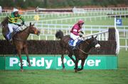 29 December 2007; Royal Man, with Denis Hogan up, clears the last ahead of Dead Sound, with Adrian Joyce up, on the way to winning The Martinstown Opportunity Handicap Steeplechase of Ä15,000. Leopardstown Racecourse, Leopardstown, Dublin. Picture credit; Brian Lawless / SPORTSFILE