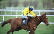 29 December 2007; Pedrobob, with Philip Carberry up, on the way to winning The Bewleys Hotel Manchester Beginners Steeplechase of Ä17,000. Leopardstown Racecourse, Leopardstown, Dublin. Picture credit; Brian Lawless / SPORTSFILE