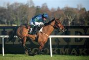 29 December 2007; Al Eile, with Timmy Murphy up, on the way to winning The Bewleyshotels.com December Festival Hurdle. Leopardstown Racecourse, Leopardstown, Dublin. Picture credit; Brian Lawless / SPORTSFILE