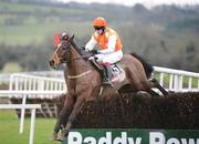 31 December 2007; Torduff King, with Mark Ferris up, on their way to winning the Visit The Panoramic Restaurant Beginners Steeplechase. Punchestown Races, Punchestown Racecourse, Co. Kildare. Picture credit; Pat Murphy / SPORTSFILE