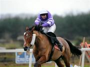 31 December 2007; Silent Creek, with Alan Crowe up, on their way to winning the Buy Your Tickets Online At www.punchestown.com Handicap Hurdle. Punchestown Races, Punchestown Racecourse, Co. Kildare. Picture credit; Pat Murphy / SPORTSFILE