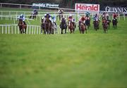 31 December 2007; The runners and riders make their way towards the last during the Martinstown Opportunity Handicap Hurdle. Punchestown Races, Punchestown Racecourse, Co. Kildare. Picture credit; Pat Murphy / SPORTSFILE