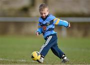 20 February 2015; Two year old Timmy Sheehan, from Terenure, Dublin, whose father is Laois footballer Billy Sheehan, has a kick around on the pitch after the match. Independent.ie Sigerson Cup, Semi-Final, UCD v DCU. Mardyke, Cork. Picture credit: Matt Browne / SPORTSFILE