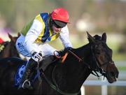 28 December 2007; Oscillating Oscar, with Michael Darcy up, on their way to winning the Mongey Communications Novice Handicap Hurdle. Leopardstown Racecourse, Leopardstown, Dublin. Photo by Sportsfile