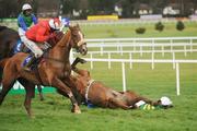 13 January 2008; Perce Rock, with D.J Casey up, fall at the last during the Paddy Fitzpatrick Memorial Novice Steeplechase. Paddy Fitzpatrick Memorial Novice Steeplechase, Leopardstown Racecourse, Leopardstown, Dublin. Picture credit; Caroline Quinn / SPORTSFILE *** Local Caption ***