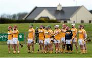 22 February 2015; The Antrim team stand for the national anthem. Allianz Hurling League, Division 1B, Round 2, Antrim v Limerick, Ballycastle, Co. Antrim. Picture credit: Oliver McVeigh / SPORTSFILE