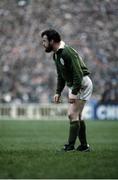 Mick Fitzpatrick, Ireland rugby. Picture credit: SPORTSFILE