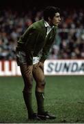 16 March 1985; Michael Bradley, Ireland. Ireland v Wales. Cardiff Arms Park. Ireland 21 Wales 9. Picture credit: SPORTSFILE