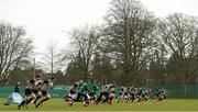 27 February 2015; The Ireland rugby squad go through their paces during squad training. Carton House, Maynooth, Co. Kildare. Picture credit: Brendan Moran / SPORTSFILE