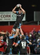 28 February 2015; Adam Ashe, Glasgow Warriors, takes the ball in the lineout against Munster. Guinness PRO12, Round 16, Munster v Glasgow Warriors. Irish Independent Park, Cork. Picture credit: Matt Browne / SPORTSFILE