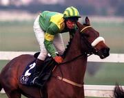 19 January 1997; Dardjini, with Paul Carberry up, on their way to finishing third in the AIG Europe Champion Hurdle at Leopardstown Racecourse in Dublin. Photo by Brendan Moran/Sportsfile