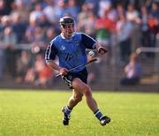 6 May 2000; Dave Sweeney of Dublin during the Guinness Leinster Senior Hurling Championship Round Robin match between Carlow and Dublin at Dr Cullen Park in Carlow. Photo by Damien Eagers/Sportsfile