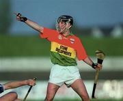 6 May 2000; Johnny Kavanagh of Carlow during the Guinness Leinster Senior Hurling Championship Round Robin match between Carlow and Dublin at Dr Cullen Park in Carlow. Photo by Damien Eagers/Sportsfile