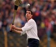 30 April 2000; Michael Crimmons of Galway during the Church & General National Hurling League Division 1 Semi-Final match between Galway and Waterford at Semple Stadium in Thurles, Tipperary. Photo by Ray McManus/Sportsfile