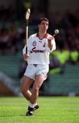 14 May 2000; Michael Crimmons of Galway during the Church & General National Hurling League Final match between Tipperary and Galway at the Gaelic Grounds in Limerick. Photo by Brendan Moran/Sportsfile