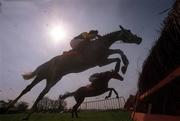 5 May 2000; Nomabic, with Paul Carberry up, and Mantles Prince, with Francis Berry up, jump the last during the Shell Champion Hurdle at Punchestown Racecourse in Kildare. Photo by Matt Browne/Sportsfile