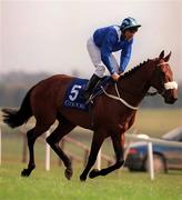 1 May 2000; Quws, with Stephen Craine up, goes to post prior to the Victory Note European Breeders Fund Mooresbridge Stakes at the Curragh Racecourse in Kildare. Photo by Brendan Moran/Sportsfile