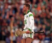 30 April 2000; Timmy Houlihan of Limerick during the Church & General National Hurling League Division 1 Semi-Final match between Tipperary and Limerick at Semple Stadium in Thurles, Tipperary. Photo by Ray McManus/Sportsfile