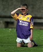 7 May 2000; Wexford mascot Seamus McLoughlin during the Bank of Ireland Leinster Senior Football Championship Group Stage Round 1 match between Wexford and Longford at O'Kennedy Park in New Ross, Wexford. Photo by Aoife Rice/Sportsfile