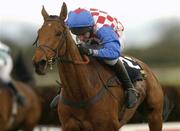 12 April 2004; Granit D'Estruval, with Brian Harding up, on their way to winning the Powers Gold Label Irish Grand National Handicap Steeplechase at Fairyhouse Racecourse in Ratoath, Meath. Photo by Damien Eagers/Sportsfile