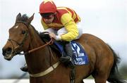 12 April 2004; Randwick Roar, with Davy Russell up, on their way to winning the Sherry Fitzgerald Hurdle at Fairyhouse Racecourse in Ratoath, Meath. Photo by Damien Eagers/Sportsfile