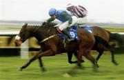 13 April 2004; Macs Joy, left, with Barry Geraghty up, races clear of Tiger Cry, with David Casey up, on their way to winning the Menolly Homes Handicap Hurdle at Fairyhouse Racecourse in Ratoath, Meath. Photo by Damien Eagers/Sportsfile