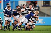 31 January 2008; David Shanahan, Belvedere, is tackled by Jack Walsh, St Mary's. Leinster Schools Junior Cup, Belvedere College v St Mary's College, Donnybrook, Dublin. Picture credit; Caroline Quinn / SPORTSFILE