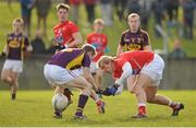 1 March 2015; Conor Grimes, Louth, in action against James Breen, Wexford. Allianz Football League Division 3 Round 3, Louth v Wexford, County Grounds, Drogheda, Co. Louth. Picture credit: Tomás Greally / SPORTSFILE