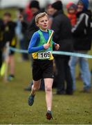 1 March 2015; Oisin Kelly, Meath, on his way to winning the Boy's Under 12 4x500m relay during the GloHealth Inter Club & Inter County Relay Cross Country Championships. Kilbroney Park, Co. Down. Photo by Sportsfile