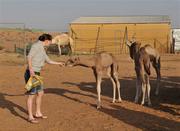 28 January 2008; Cork's Briege Corkery feeds a baby camel during a Safari trip. O'Neills/TG4 Ladies Gaelic Football All Star Tour 2007, Dubai, United Arab Emirates. Picture credit: Brendan Moran / SPORTSFILE  *** Local Caption ***