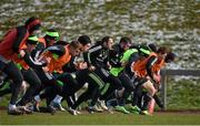 3 March 2015; A general view of Munster squad training. University of Limerick, Limerick. Picture credit: Diarmuid Greene / SPORTSFILE