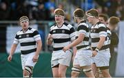 3 March 2015; Belvedere College captain Mike Sweeney, centre, urges on his team-mates during the game. Bank of Ireland Leinster Schools Senior Cup Semi-Final, Clongowes Wood College v Belvedere College, Donnybrook Stadium, Donnybrook, Dublin. Picture credit: Piaras Ó Mídheach / SPORTSFILE