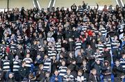 3 March 2015; Belvedere College fans. Bank of Ireland Leinster Schools Senior Cup Semi-Final, Clongowes Wood College v Belvedere College, Donnybrook Stadium, Donnybrook, Dublin. Picture credit: Cody Glenn / SPORTSFILE